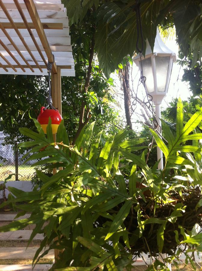 Hostal Casaluna San Andres Eksteriør bilde
